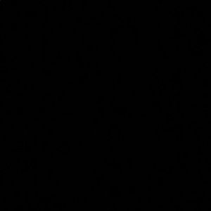 Meet your Posher, Cody